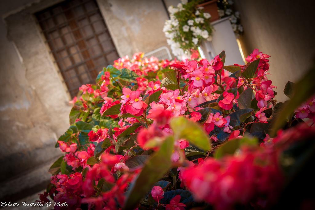 Torre Della Botonta Bed & Breakfast Castel Ritaldi Bagian luar foto